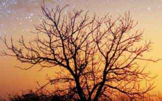 本来不想说，91大事件线路今晚让评论区失控